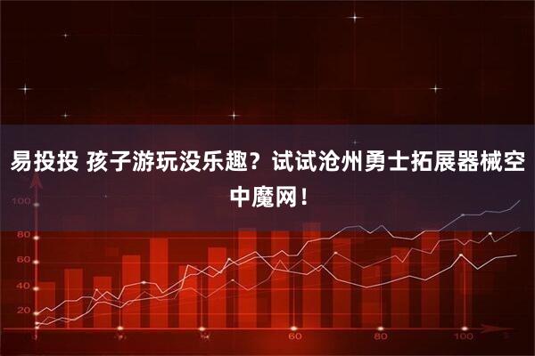 易投投 孩子游玩没乐趣?试试沧州勇士拓展器械空中魔网!